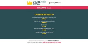 Siamo 4 stelle in “Vinibuoni d’Italia 2026”