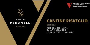 I nostri vini selezionati e recensiti nella Guida Oro I Vini di Veronelli 2026